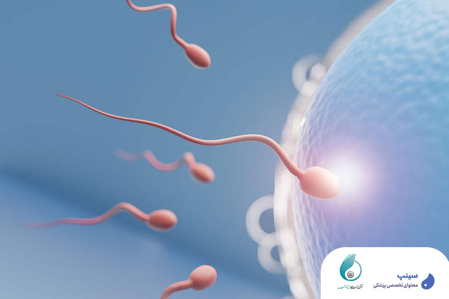 سمپوزیوم روش های کمک باروری و حاملگی در زنان نابارور